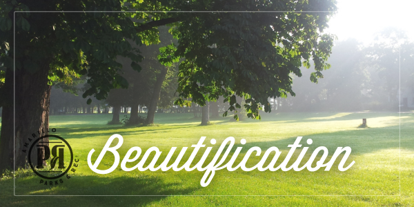 Beautification Website Image